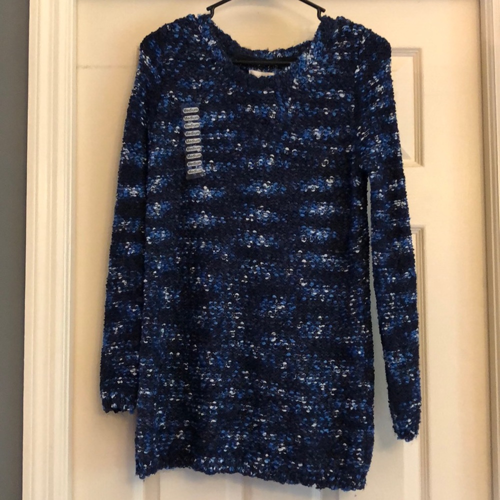 Multi-Blue Knit Charming Charlie Sweater